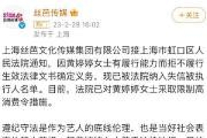 歌手黄婷婷成被执行人 网友:是谁又塌房了?