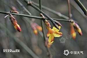 我国南方多地已经入春,进程将比常年明显提前