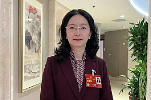 代表建议禁止向未成年提供网游服务 纳入《未成年人保护法》