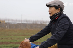 65岁阿姨离婚后8年骑行12国 靠每月3000多元退休金穷游