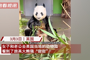 中国夫妻看望旅英熊猫 甜甜:乡音难忘