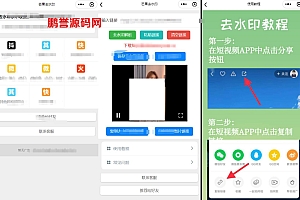 短视频去水印小程序源码+支持图集/自带解析API