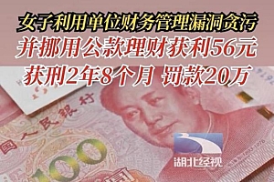 女子挪用公款理财获刑 网友:坏人终会得到惩罚