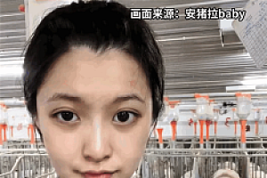 24岁高颜值女孩回应大学毕业养猪:学的兽医 专业对口