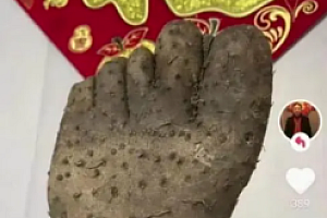男子买到奇葩山药外形酷似人脚掌 大自然鬼斧神工