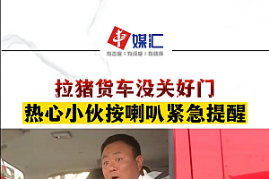 小伙提醒司机猪“越狱” 称担心司机白忙活
