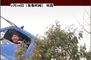 女子路遇离奇“翻车”现场 网友:工地车家常便饭