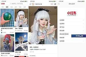 安卓小红书v7.66.0.1精简版