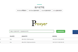 Proxyer:一款简单且带Web面板的内网穿透工具