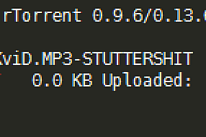Linux VPS使用rtorrent下载BT种子,并在线观看
