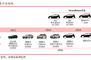 拆解理想财报:做好打价格战的准备了吗?