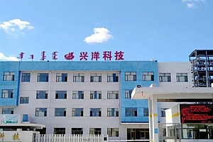“小巨人”兴洋科技挂牌新三板