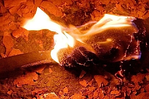 现在大家都火葬了,以后的考古学家去哪里挖墓?