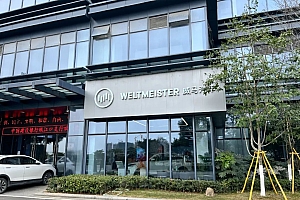 沈晖反思威马困境:融资是我的短板,产品亮点不突出