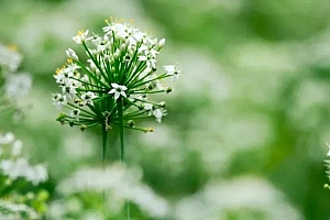 微博大V,被罚1个亿