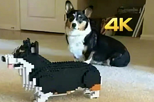 龚宇回应投屏事件,付费用户到底在不满什么?