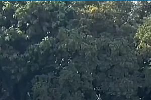 销量下滑真“上火”?疑似哪吒S充电站起火视频曝出,哪吒汽车“冲高”之路仍在探索中