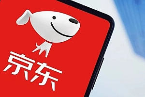 京东百亿补贴提前上线,还是很贵