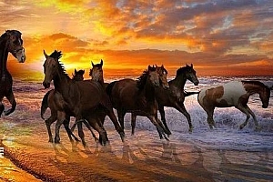 Meta版ChatGPT惨遭“开源”?最新大模型LLaMA被泄露,已在GitHub收获7k+星