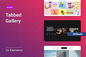用于Elementor的图片和文章选项卡筛选插件