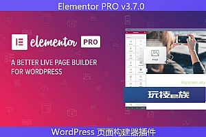 Elementor PRO v3.7.0 – WordPress 页面构建器插件