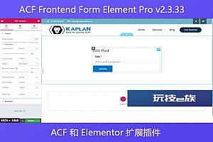 ACF Frontend Form Element Pro v2.3.33 – ACF 和 Elementor 扩展插件