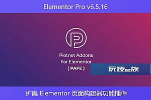 Elementor Pro v6.5.16 – 扩展 Elementor 页面构建器功能插件