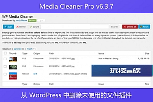 Media Cleaner Pro v6.3.7 – 从 WordPress 中删除未使用的文件插件