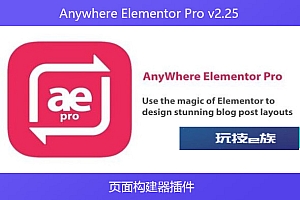 Anywhere Elementor Pro v2.25 – 页面构建器插件