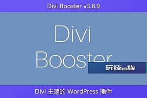 Divi Booster v3.8.9 – Divi 主题的 WordPress 插件