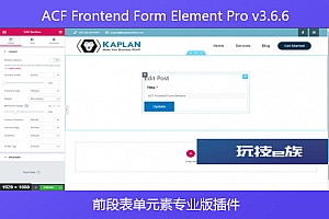ACF Frontend Form Element Pro v3.6.6 – 前段表单元素专业版插件