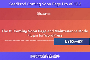 SeedProd Coming Soon Page Pro v6.12.2 – 隐藏网站内容插件