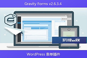 Gravity Forms v2.6.3.4 – WordPress 表单插件