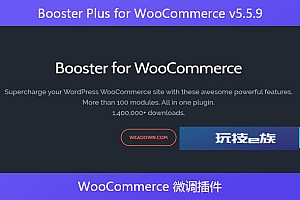 Booster Plus for WooCommerce v5.5.9 – WooCommerce 微调插件