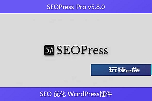 SEOPress Pro v5.8.0 – SEO 优化 WordPress插件
