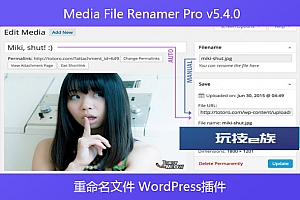 Media File Renamer Pro v5.4.0 – 重命名文件 WordPress插件