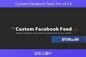 Custom Facebook Feed Pro v4.2.6 – 自定义插件