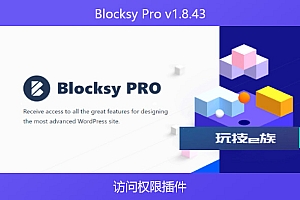 Blocksy Pro v1.8.43 – 访问权限插件
