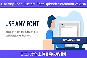 Use Any Font  Custom Font Uploader Premium v6.2.94 – 自定义字体上传器高级版插件