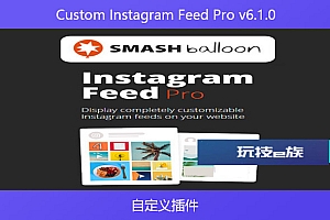Custom Instagram Feed Pro v6.1.0 – 自定义插件