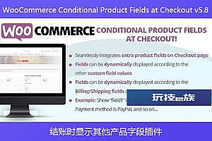 WooCommerce Conditional Product Fields at Checkout v5.8 – 结账时显示其他产品字段插件