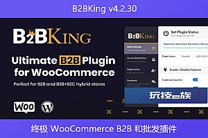 B2BKing v4.2.30 – 终极 WooCommerce B2B 和批发插件