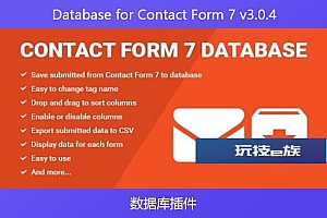 Database for Contact Form 7 v3.0.4 – 数据库插件