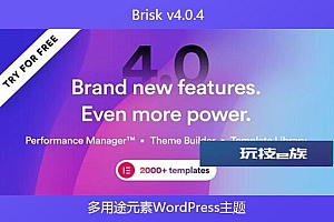 Brisk v4.0.4 – 多用途元素WordPress主题