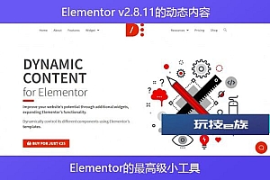 Dynamic Content for Elementor v2.8.11 – Elementor的最高级小工具