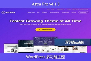 Astra Pro v4.1.3 – WordPress 多功能主题