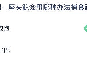蚂蚁庄园今天正确答案4.11:座头鲸会用哪种办法捕食磷虾?吐泡泡还是抖尾巴