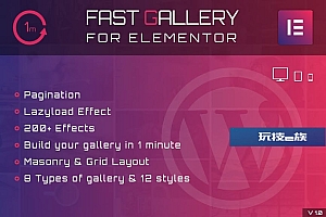 Elementor WordPress插件快速画廊