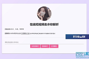 短视频解析html源码-内置kpi接口