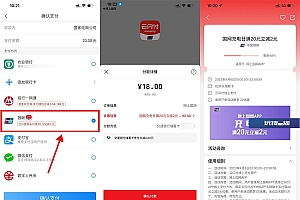 网上国网使用云闪付满20减2元